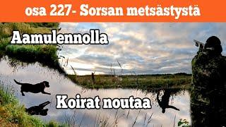 Osa 227 - Sorsaa aamulennolla - 2022/2023