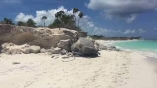 Travel Vlog: Caicos Dream Tours Half-Day Caribbean Excursion in Turks and Caicos