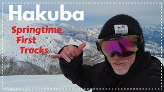 Hakuba fresh tracks in Spring. Still scoring.