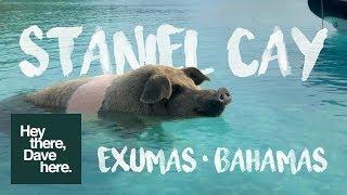 Swimming with pigs (and SHARKS!) in Staniel Cay - Exumas - Bahamas