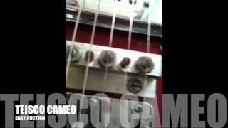 Teisco Cameo Ebay Auction Demo