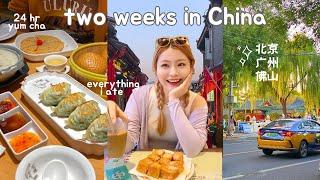 life in china (& everything i ate)  claypot rice, 24hr yum cha, street food, durian pizza, etc!