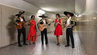Mexican Mariachi Band in Singapore Los Cucurrus