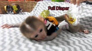 OMG!! Poop All Over Diaper , So Mom Thoroughly Clean Baby Monkey Dody