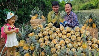 Enjoy the happiness with your husband and the delicious taste of the first pineapple of the season