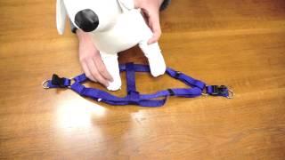 PetChampion - Step in Harness: How To