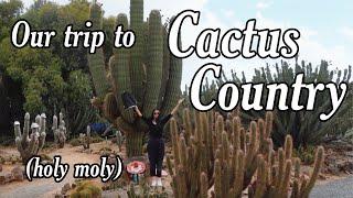 Our trip to Cactus Country