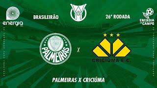 PALMEIRAS X CRICIUMA - 15/09/2024 - BRASILEIRÃO - AO VIVO