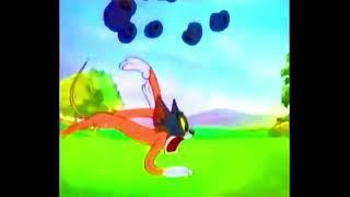 Tom and Jerry Theatricals - 2015 Boomerang Commercial with Fishtronaut '73 song audio (redone)