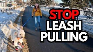 STOP Leash Pulling With These 2 Simple Force Free Training Methods