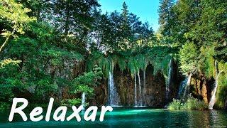 Acalmar a Mente: Música Relaxante Piano e Natureza - Relaxar