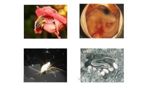 Why Study Biology at ETSU