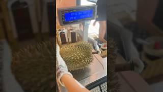 RM70/kg Durian Khun Pao Penang #durian #musangking
