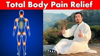 Say Goodbye to Pain: Tai Chi Exercise For Full Body Pain Relief  |  Taichi Zidong