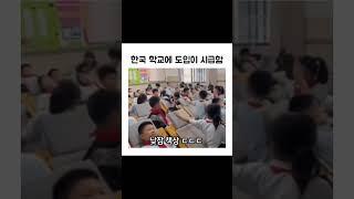 와 미쳤다. 학교 책상이 침대로~ #Shorts