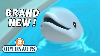 ​@Octonauts - The Baby Dolphin | Full Episode 8 | @Kidzuko