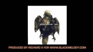 The Hundred In The Hands - Pigeons