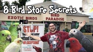 8 Bird Store Secrets Bird Stores Won't Tell You!