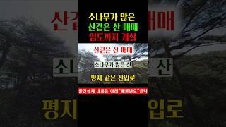 산 같은 산 매매