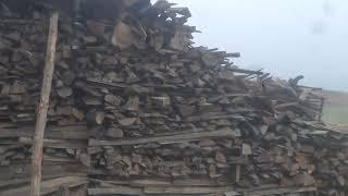 babool fire wood 300 Q  contact number 9357110823