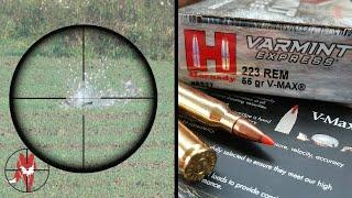 .223 REM V-Max. - 11 killshots - Crows, pigeons and fox.