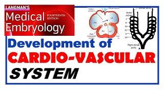 Langman Chapter#13 | Embryology of Cardiovascular System | Dr Asif Lectures