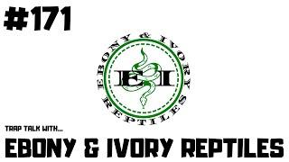 #171 EBONY & IVORY REPTILES | BALL PYTHON BREEDER | NEW BREEDER ON THE BLOCK | TRAP TALK WITH MJ