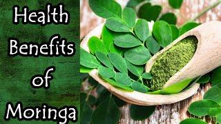 Health Benefits of Moringa