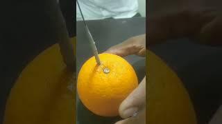 Amazing orange  experiments wow !।। Simple experiments ।।#experiment #youtubeshorts #science #fun