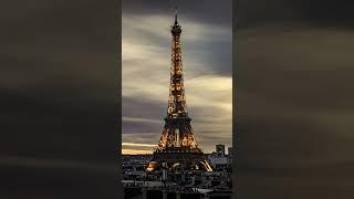 Resolve Your Visa Issues with TSA Legal Services