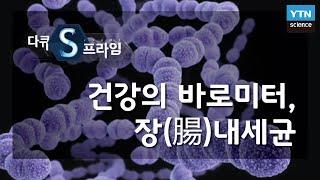 건강의 바로미터, 장(腸)내세균 [다큐S프라임] / YTN 사이언스