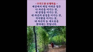 禪어록,참선 ,선불교,자신과의 만남, 명상, #buddha #강아지 #참선# 道를 행하는 모습은 허공과 같습니다#