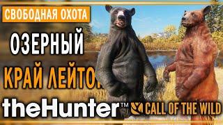 theHunter Call of the Wild #4  - Озерный Край Лейтон (часть 3) - Свободная Охота