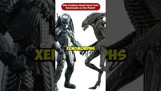 Why Predators Would Never Hunt Xenomorphs On Their Home Planet? #Shorts #Viral