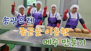 종균을 이용한 좋은 메주 만드는 방법