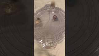 |Beyblade Battle| Acid Anubis vs Xeno Xcalibur