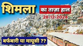 Shimla Snowfall latest Updates | Shimla में बर्फबारी से मायूसी | Shimla latest weather today #shimla