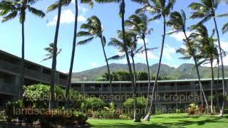 Wonderful Molokai Vacation Rental with spectacular ocean views at the Wavecrest Resort