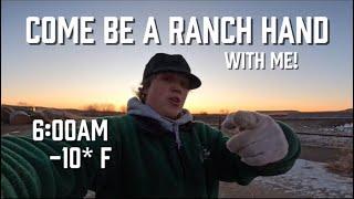 FULL day in the life on a -10 degree day! Ranching in South Dakota