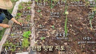 [May-1] Mini garden, how much is it possible to plant crops together?/ Flipping Food Waste Compost
