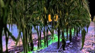 Second Life Travels: The Corn Field