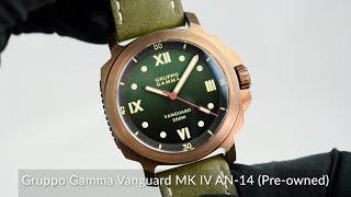 Gruppo Gamma Vanguard MK IV AN-14 (Pre-owned)