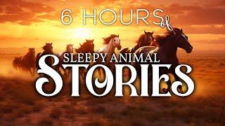 6 HOURS of Animal Bedtime Stories