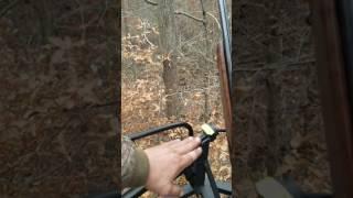 Best CLIMBING Tree Deer Stands 2017 In Field REAL Review BUCK HORN THE HIGHER LEVEL
