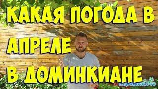 Какая погода в апреле в Доминикане? (доминикана. доминикана2017. доминикана цены. доминикана видео)