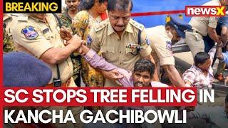 Telangana's Kancha Gachibowli Forest Saved: Supreme Court Intervention | News X