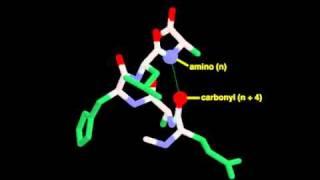 alpha helix