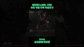 [엘든링]초회차(노영체, 근접) - 아인 커플 두목 박살내기 #eldenring  #gaming #games #게임