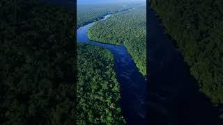 Amazon River #shorts