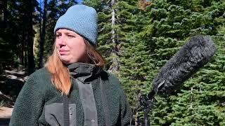 The Call of the Chickadee